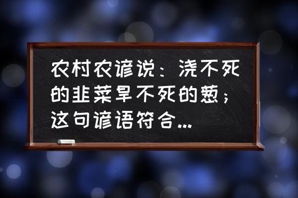 墒情监测频次 农村农谚说：浇不死的韭菜旱不死的葱；这句谚语符合作物生长事实吗？