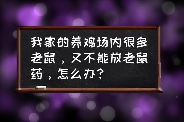 斗鸡笼子的制作方法 我家的养鸡场内很多老鼠，又不能放老鼠药，怎么办？