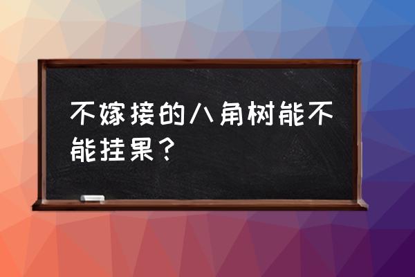 嫁接八角树苗挂果用什么办法 不嫁接的八角树能不能挂果？