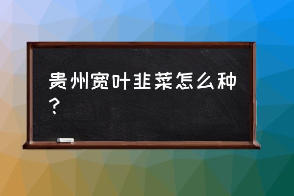 小叶韭菜好还是宽叶韭菜好 贵州宽叶韭菜怎么种？