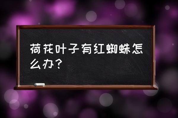 怎样防治红蜘蛛病虫害 荷花叶子有红蜘蛛怎么办？