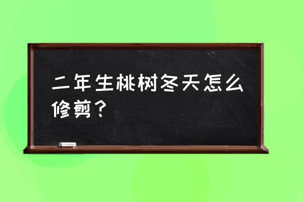 冬季桃树如何正确修剪 二年生桃树冬天怎么修剪？