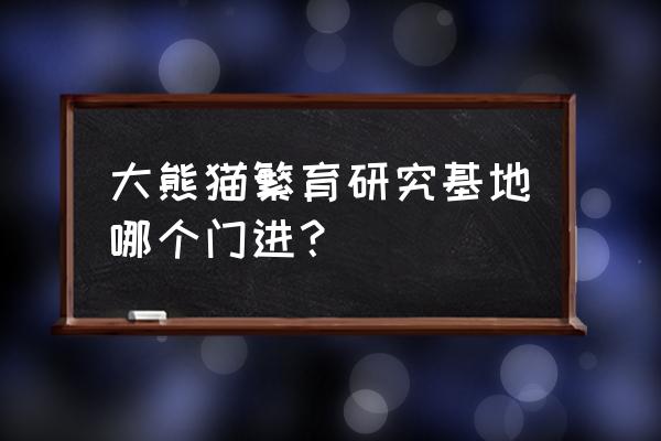 参观熊猫基地的最佳时间 大熊猫繁育研究基地哪个门进？