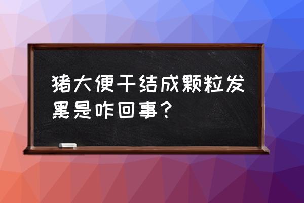 猪常见病一览表 猪大便干结成颗粒发黑是咋回事？