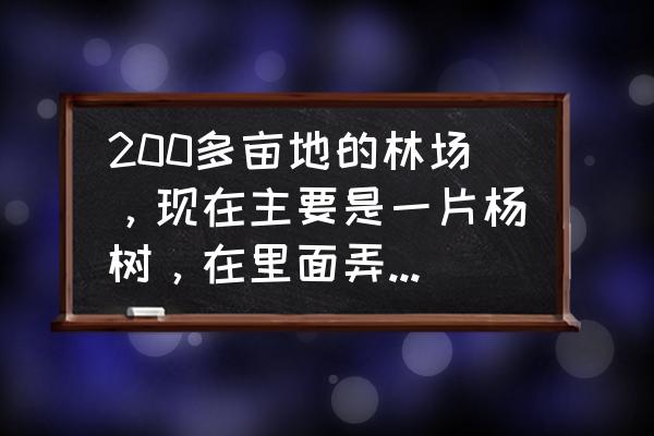 板蓝根育苗方法及注意事项 200多亩地的林场，现在主要是一片杨树，在里面弄点什么项目合适？