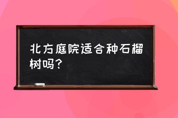 石榴树辽宁室外能过冬吗 北方庭院适合种石榴树吗？