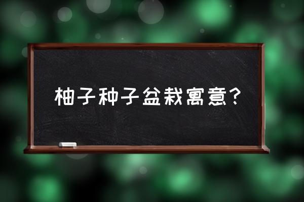 柚子盆栽都需要什么条件 柚子种子盆栽寓意？