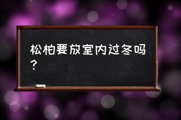 松树生长最佳温度 松柏要放室内过冬吗？