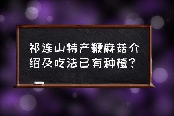 山丹军马场哪个场值得去旅游 祁连山特产鞭麻菇介绍及吃法已有种植？