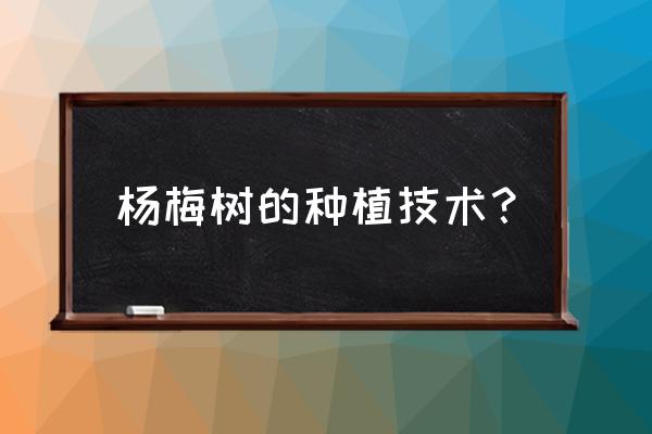 杨梅种植最佳时间在几月 杨梅树的种植技术？