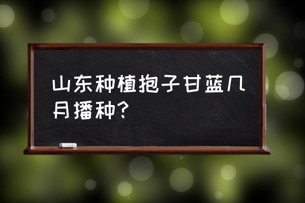 抱子甘蓝几月份种合理 山东种植抱子甘蓝几月播种？