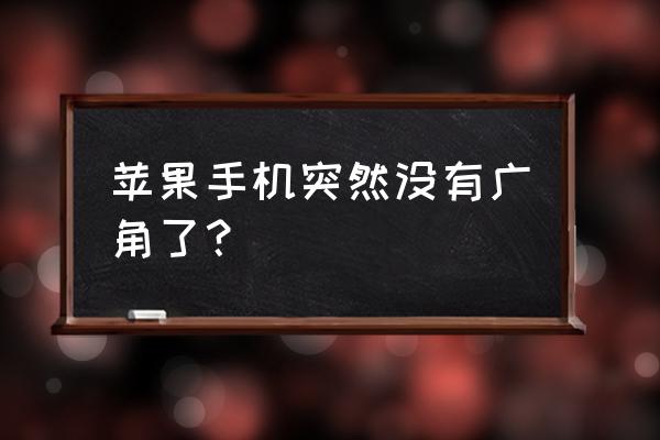 手机相机广角在哪开 苹果手机突然没有广角了？