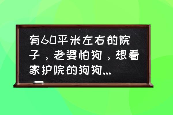 安静不扰民的小型犬 有60平米左右的院子，老婆怕狗，想看家护院的狗狗，什么好？