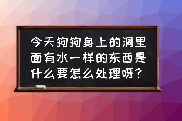 狗脖子上长个大包积液 今天狗狗身上的洞里面有水一样的东西是什么要怎么处理呀？