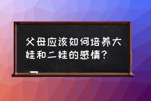 如何协调大宝二宝的关系 父母应该如何培养大娃和二娃的感情？