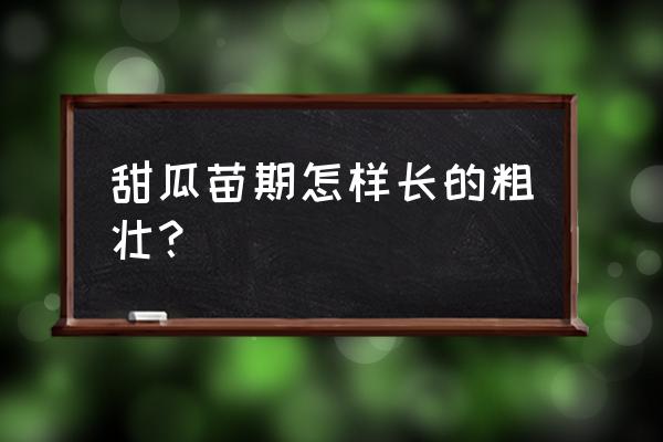 魔兽世界有机甜瓜怎么获取 甜瓜苗期怎样长的粗壮？