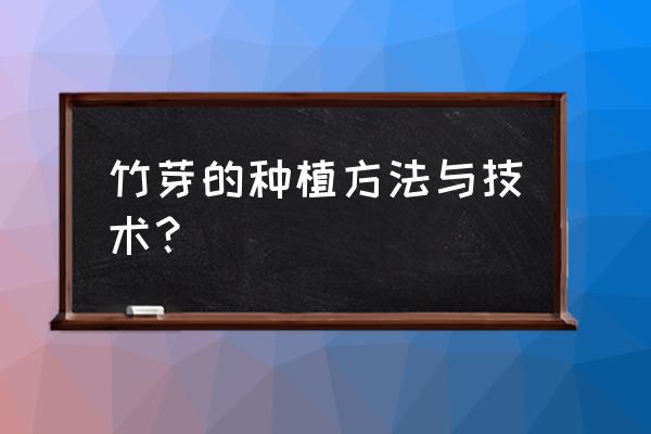 竹笋粘土教程 竹芽的种植方法与技术？