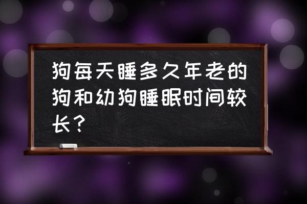 狗狗睡眠质量怎么调节 狗每天睡多久年老的狗和幼狗睡眠时间较长？