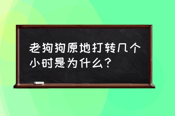 狗一岁相当于人的年龄是多少岁 老狗狗原地打转几个小时是为什么？