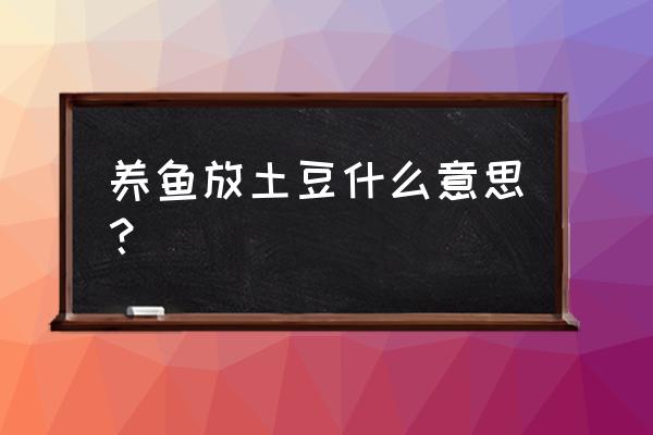 水培土豆盆景的方法 养鱼放土豆什么意思？