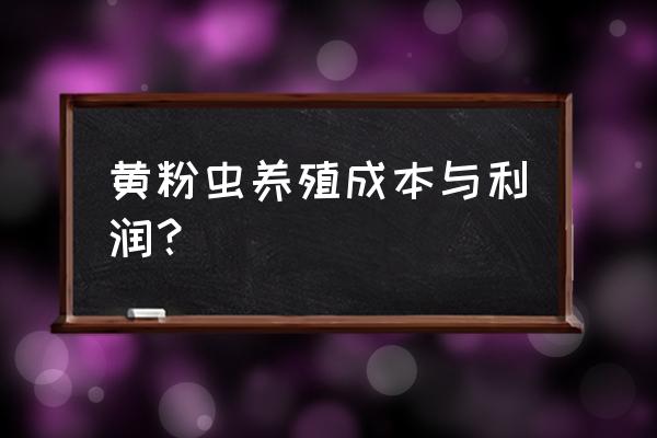 黄粉虫养殖前景和建议 黄粉虫养殖成本与利润？