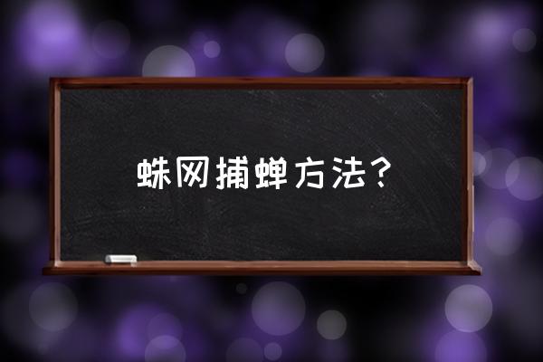 动森蝉怎么捉 蛛网捕蝉方法？