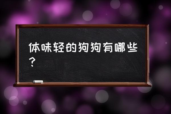 什么宠物便宜好养又干净 体味轻的狗狗有哪些？