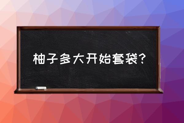 大三红蜜柚苗多少钱一棵 柚子多大开始套袋？