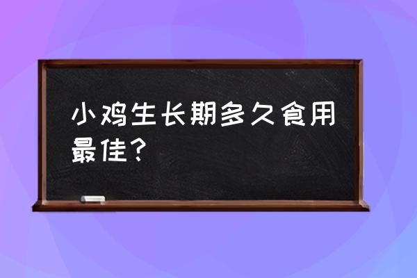 养只小鸡仔游戏攻略 小鸡生长期多久食用最佳？