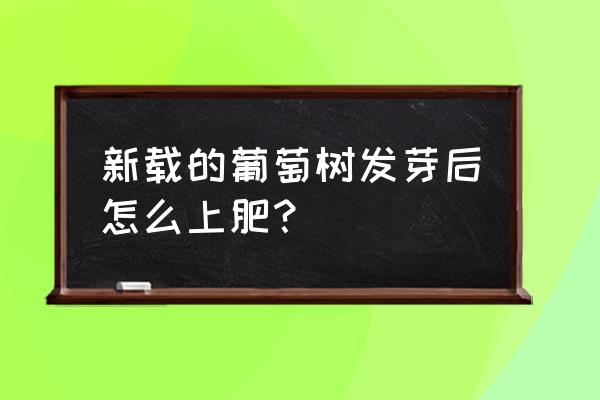 春天葡萄怎样施肥 新载的葡萄树发芽后怎么上肥？