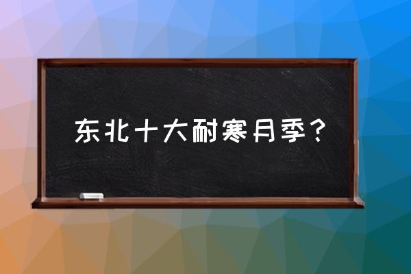 沈阳薰衣草风景区门票价格表 东北十大耐寒月季？