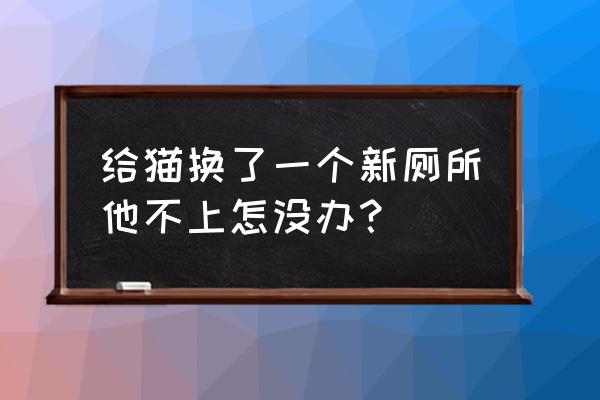 一个多月的小猫不上厕所怎么办 给猫换了一个新厕所他不上怎没办？