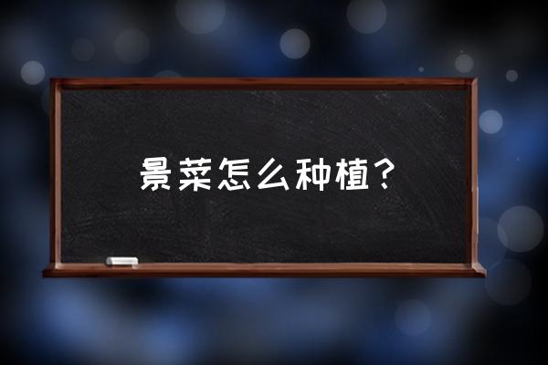 星芒软件怎么成正式员工 景菜怎么种植？