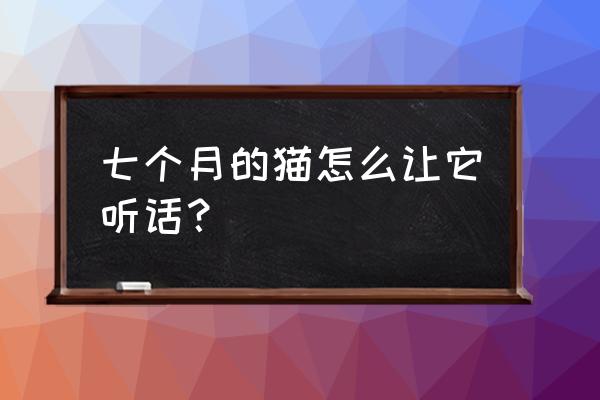 怎么能让猫更听话一直跟着自己 七个月的猫怎么让它听话？