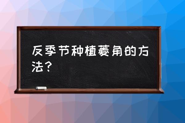 菱角的最佳生长时间 反季节种植菱角的方法？