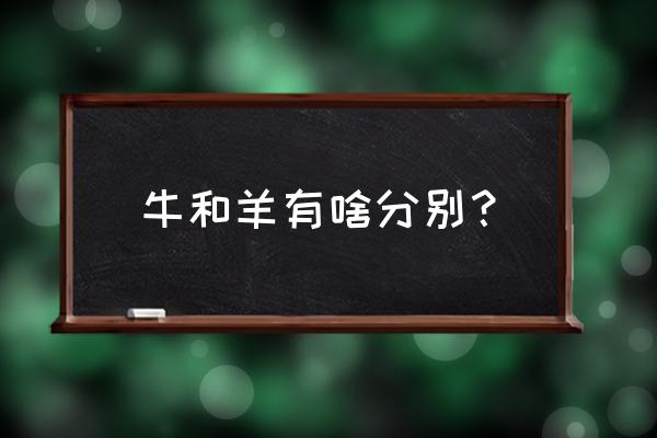 羊和牛用几何图形怎么拼 牛和羊有啥分别？