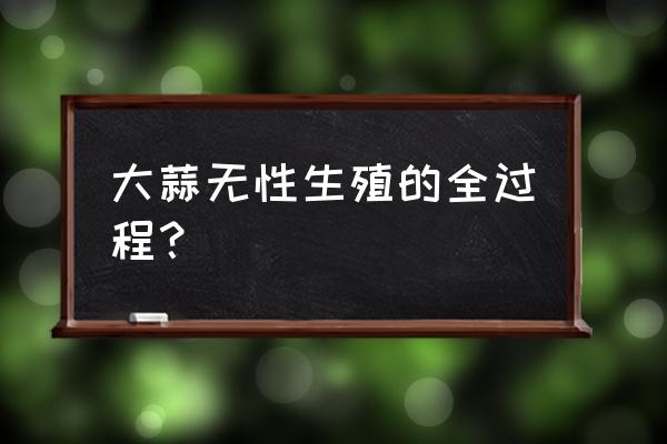 大蒜生长到结果全过程 大蒜无性生殖的全过程？