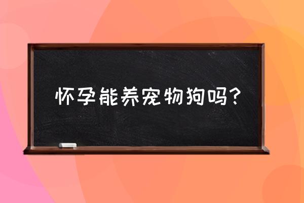 孕妇不能做的五种事情是什么 怀孕能养宠物狗吗？