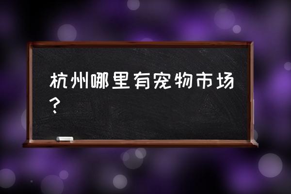 杭州宠物加盟店品牌 杭州哪里有宠物市场？