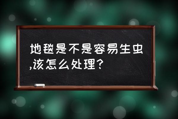 地虫怎么去除最简单方法 地毯是不是容易生虫,该怎么处理？