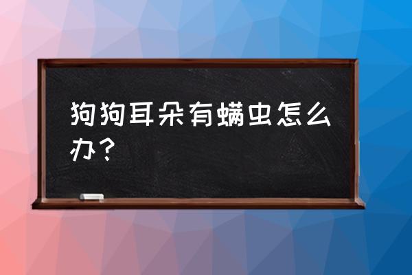 怎么才能确定狗狗耳朵清洁干净 狗狗耳朵有螨虫怎么办？