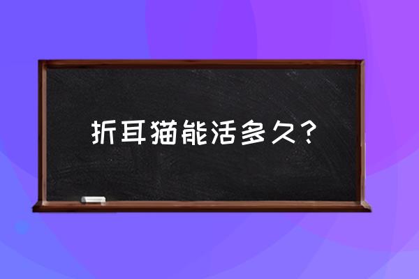 折耳猫为什么不能生宝宝 折耳猫能活多久？