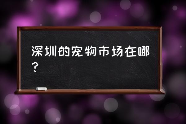 24届深圳宠物展 深圳的宠物市场在哪？