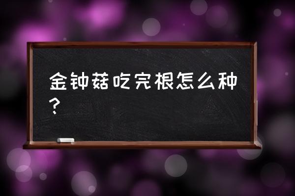 怎么把金针菇的根变成新的金针菇 金钟菇吃完根怎么种？