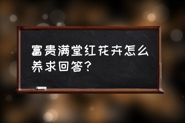 最富贵的花卉拍摄方法 富贵满堂红花卉怎么养求回答？