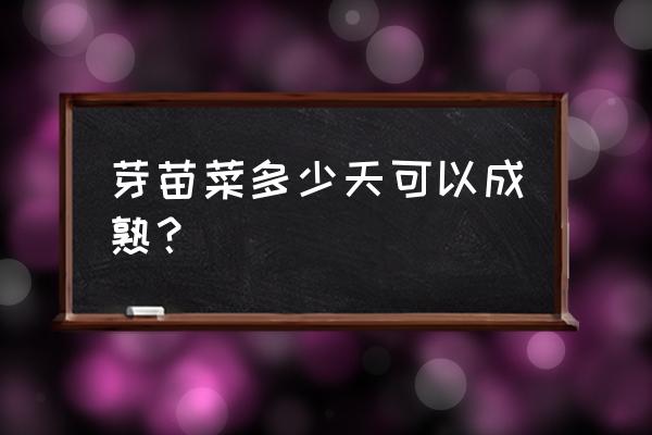 豆苗怎样无土栽培 芽苗菜多少天可以成熟？