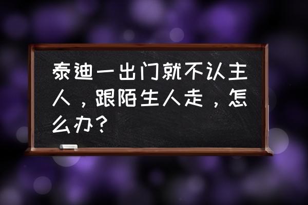 狗狗跟陌生人走的原因及纠正方法 泰迪一出门就不认主人，跟陌生人走，怎么办？