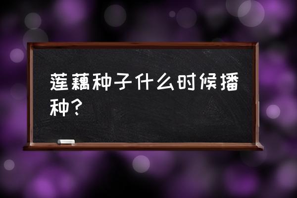 什么时间种藕最好 莲藕种子什么时候播种？