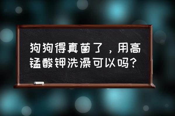 狗身上有真菌怎么办 狗狗得真菌了，用高锰酸钾洗澡可以吗？