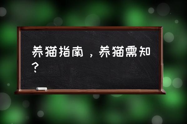 养猫须知要买的东西 养猫指南，养猫需知？